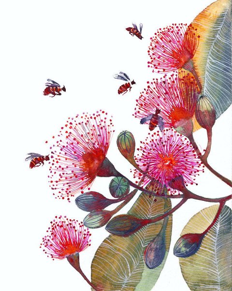 Рисунки экзотических цветов