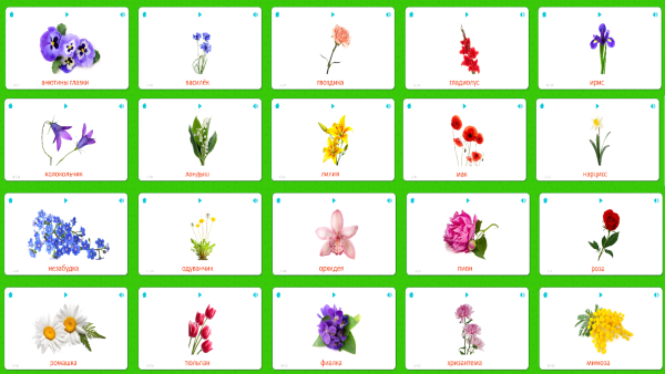 Лото "что где растет"