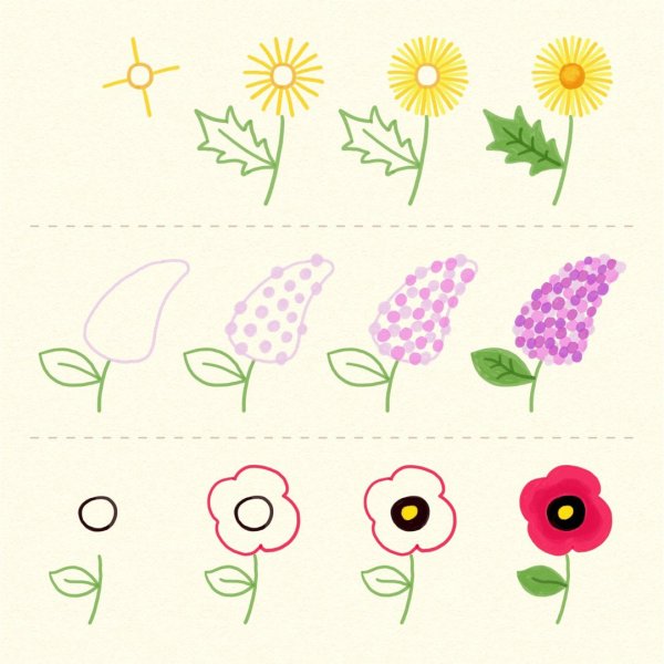 Цветы садовые полевые Лесные