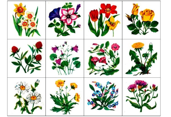 Цветочное лото для дошкольников