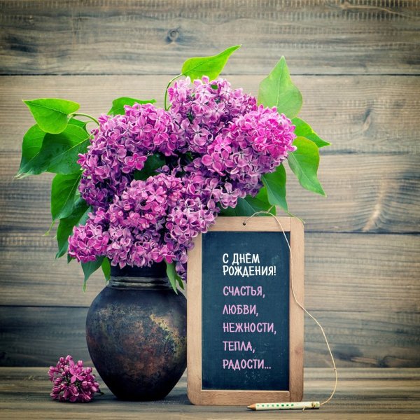 Сирень Дюк де масса