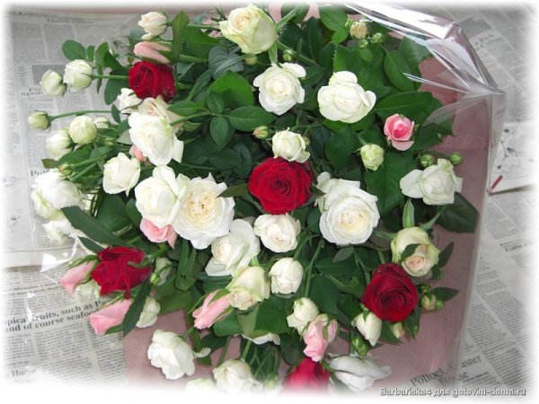 Цветы красивые букеты Настя