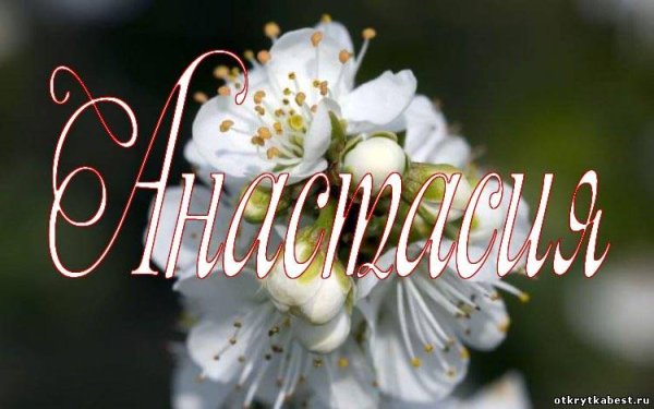 Красивые цветы для Насти