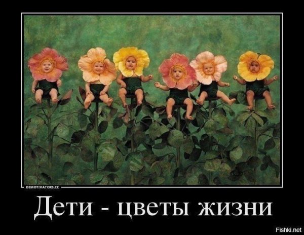 Дети цветы жизни юмор