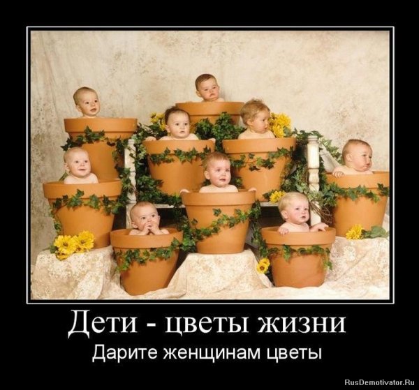 Дети цветы жизни прикол