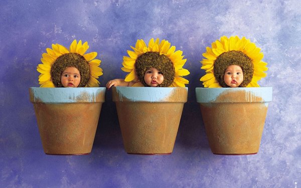 Анна Геддес Ёжики