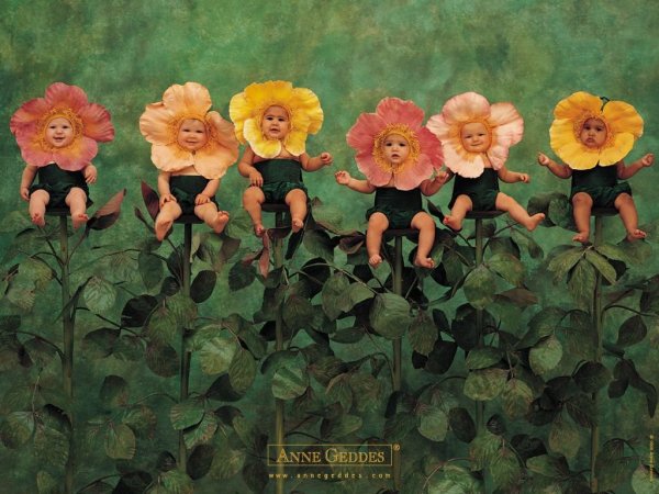 Дети цветы жизни