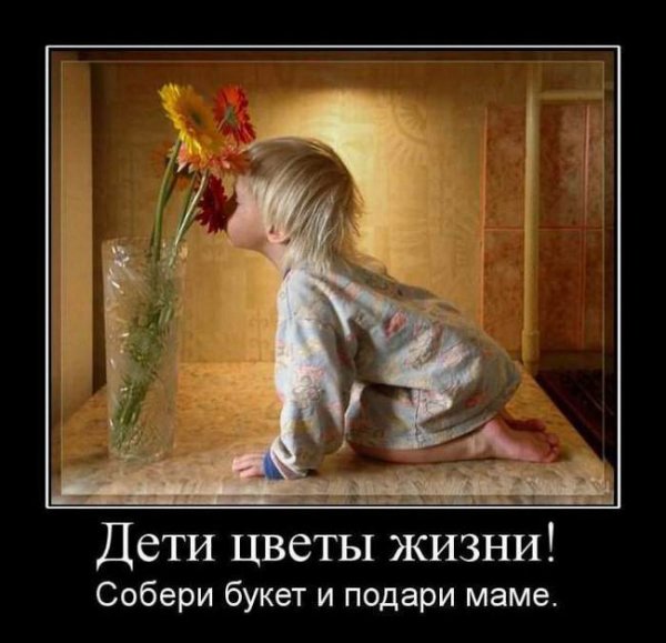 Дети цветы жизни прикол