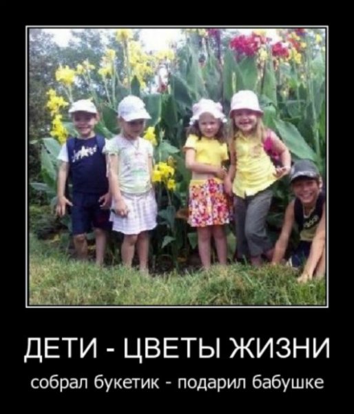 Дети цветы жизни смешные