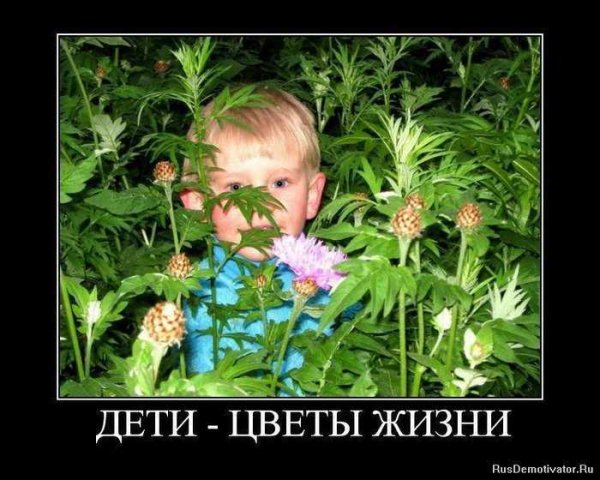 Дети цветы жизни