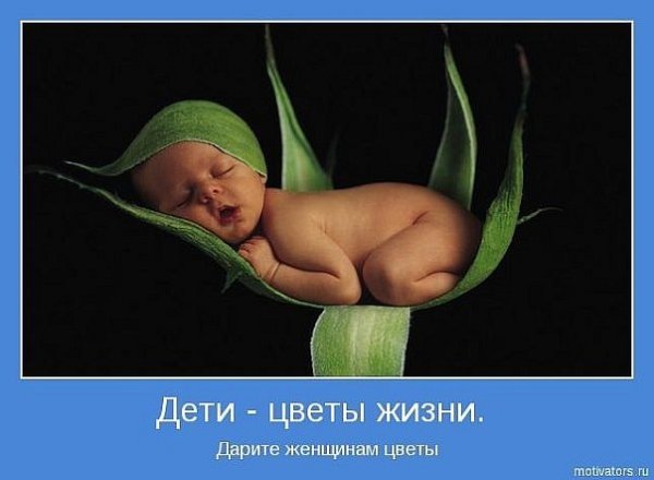Дети цветы жизни прикол