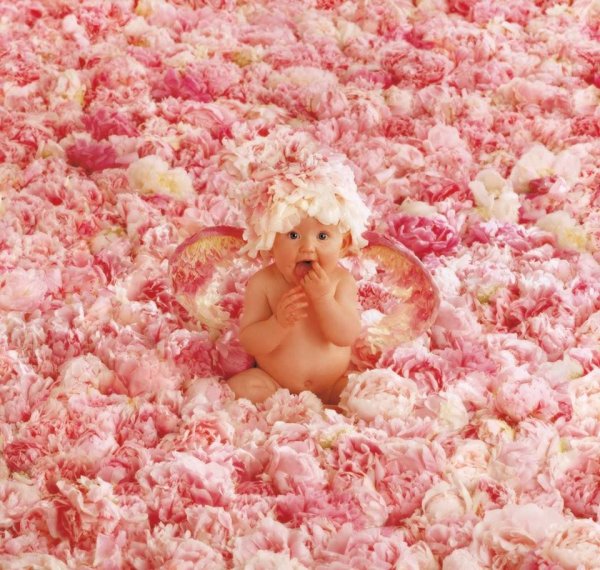 Дети цветы жизни