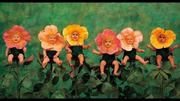 Ребенок в цветочном горшке