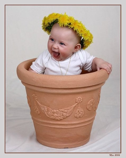 Дети цветы жизни смешные