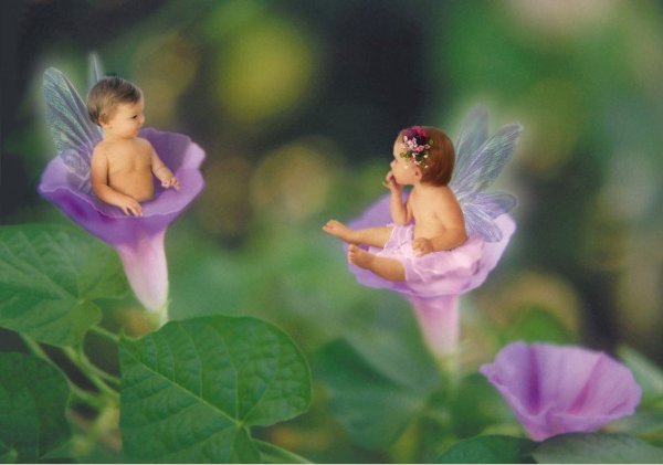 Детский цветочек в горшке