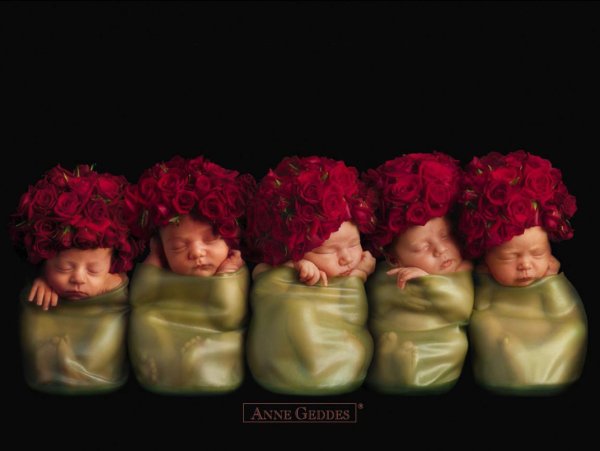 Новорожденный в цветах