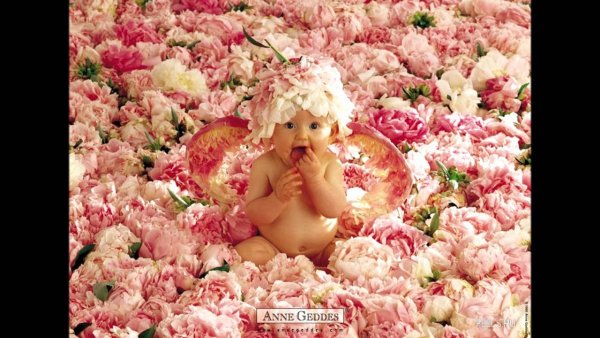 Осень наступила юмор