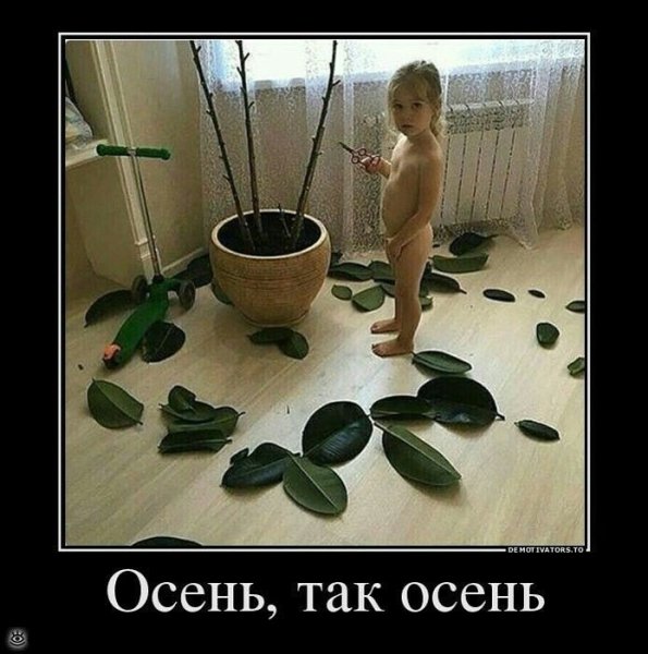 Дети цветы жизни юмор