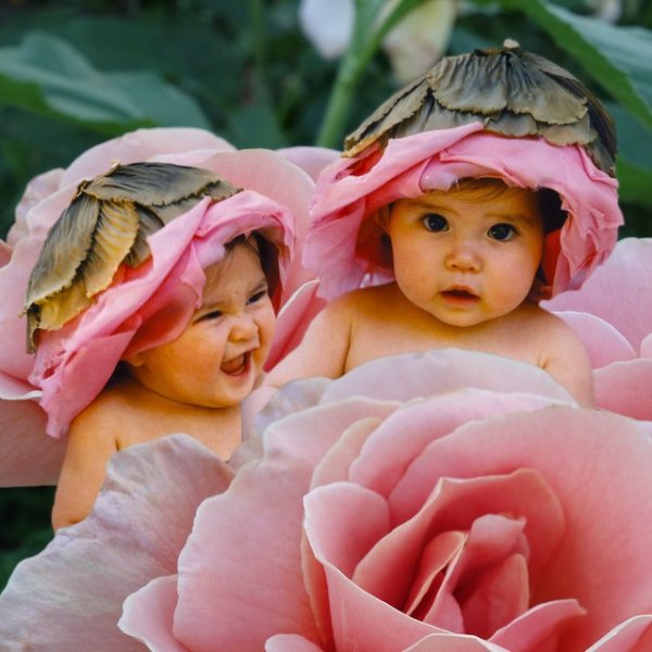 Фотограф младенцев Анна Геддес