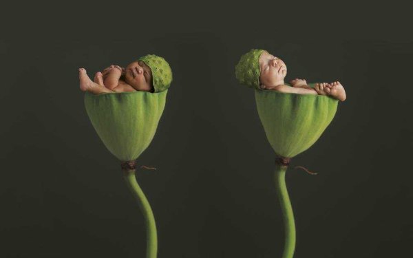 Малыш в цветах