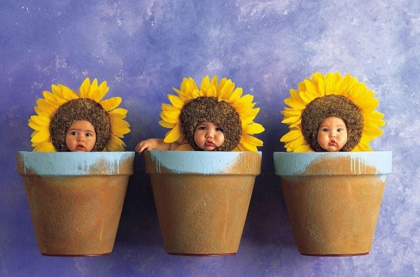 Дети цветы жизни рисунок