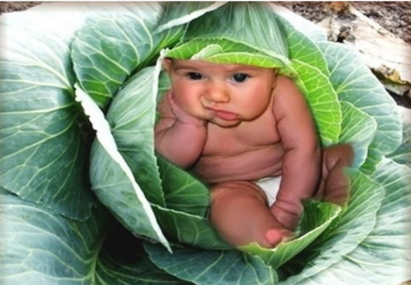 Детям о счастье