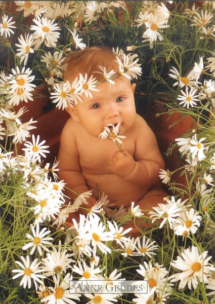 Анна Геддес подсолнух