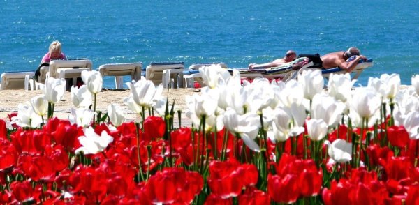 Весна в Турции Анталия