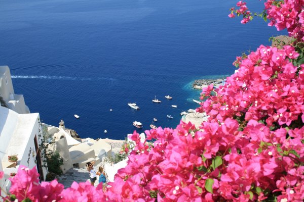 Греция Крит цветы море