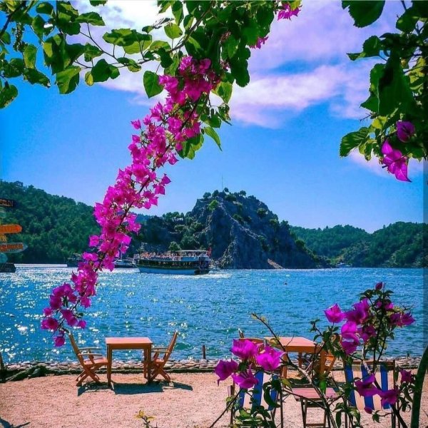 Цветущий Мармарис