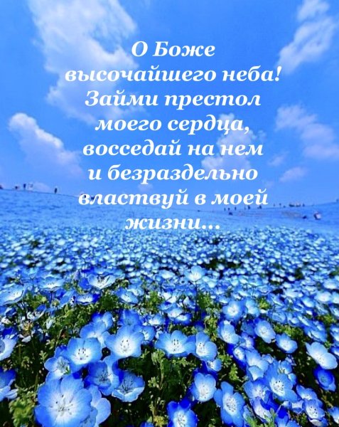 Голубое поле