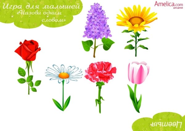 Части растений для малышей