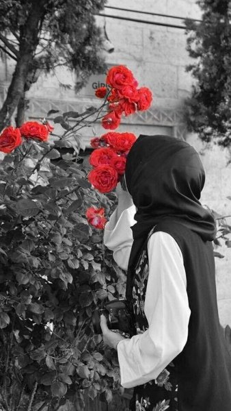 Мусульманские рисунки девушек