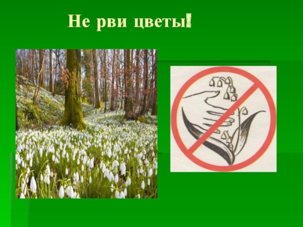 Знак запрещающий рвать цветы