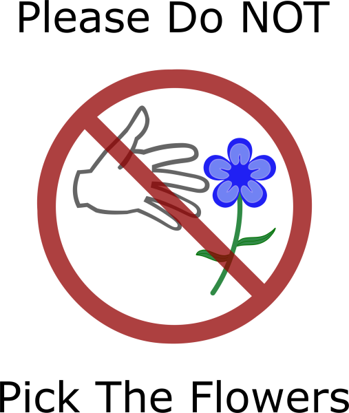 Нельзя рвать первоцветы