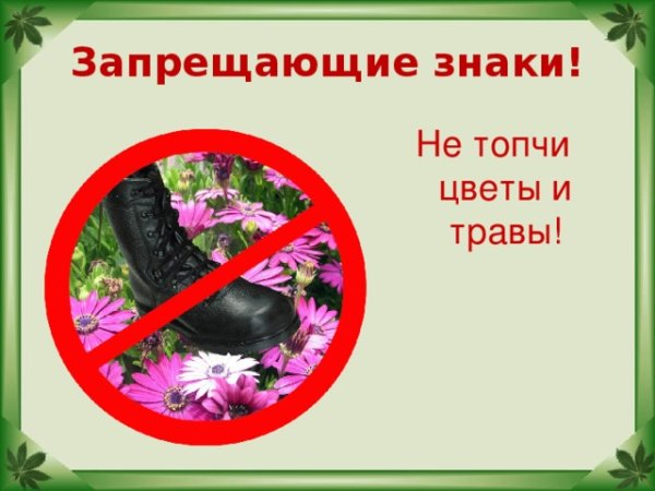 Цветы руками не трогать табличка