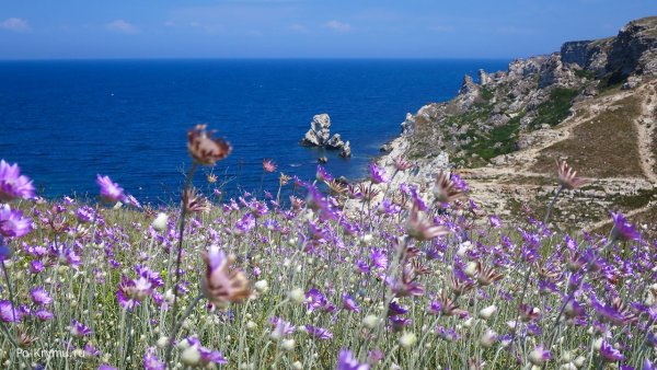 Цветущий Степной Крым
