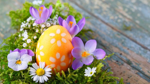 Яйцо цветы пасхальное