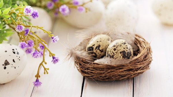 Happy Easter everyone ответы на вопросы