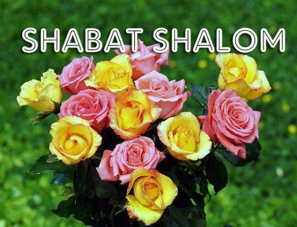 Цветы шабат Шалом