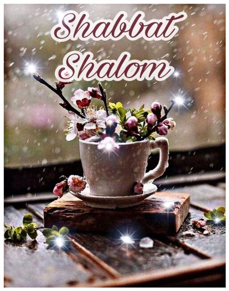 Шаббат Шалом
