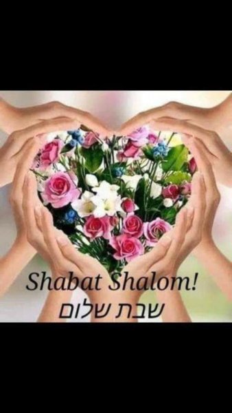 Цветы шабат Шалом