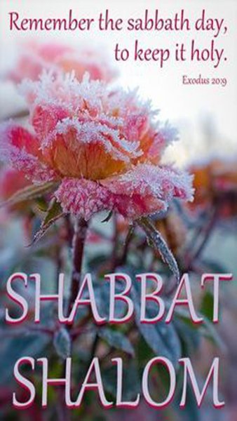 Шаббат Шалом цветы