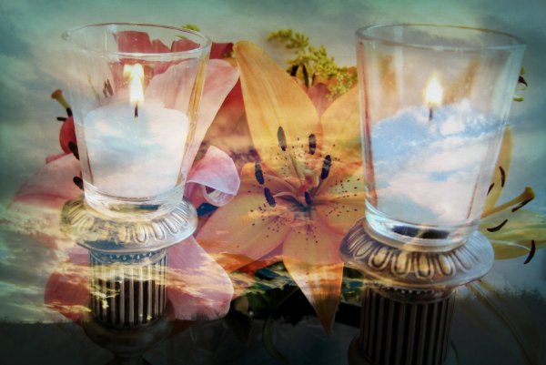 Цветы шабат Шалом