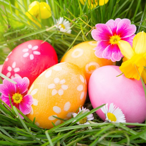 Пасхальные цветы