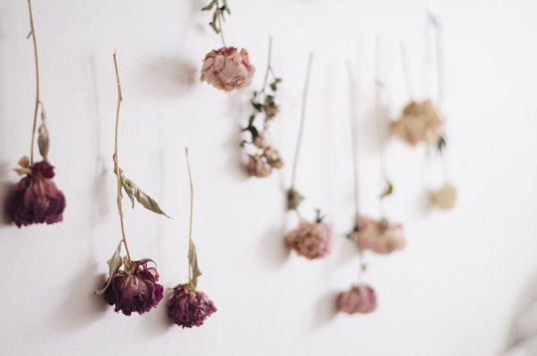 Наклейки с сухоцветами