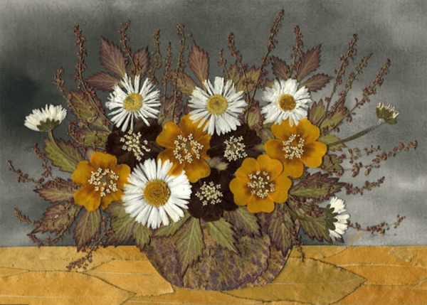 Гербарий композиции из засушенных растений