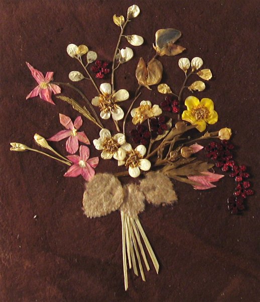 Ошибана (осибана)