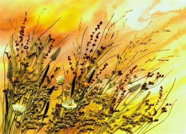 Гербарий композиции из засушенных растений