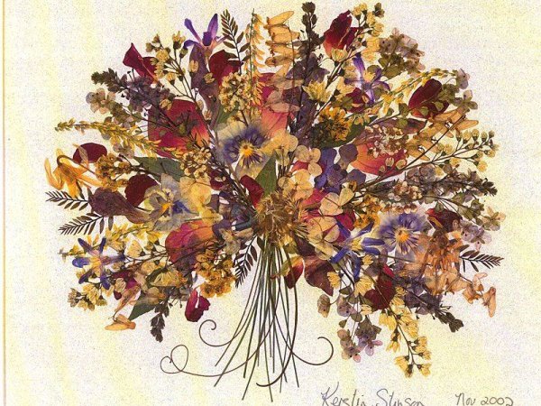 Сухая трава гербарий сухоцветы